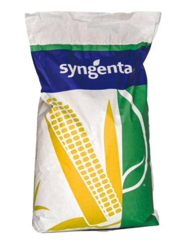 Гібрид  кукурудзи СИ Фрегат (ТМ Syngenta)- Посухостійкий, високоврожайний на зерно та силос. Купити в Україні.