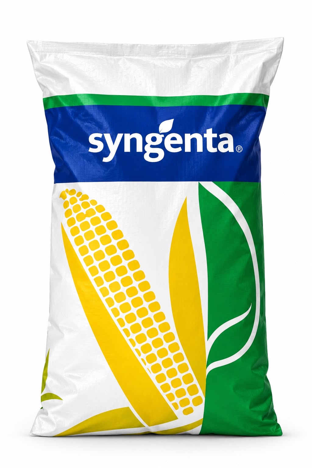 Гібрид кукурудзи  СИ Шикарі (ТМ Syngenta) – Середньоранній, високоврожайний. Купити в Україні.