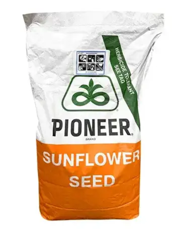Гібрид соняшника P64LE153 (ТМ Піонер) – під Гранстар, Стійкість до Вовчка (A-G), Олійність 50%, Висока Посухостійкість.